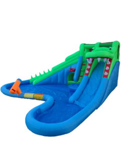 Alternative view of Crocodile Fou
