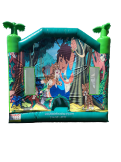 Diego (À vendre usagé) – Image 4